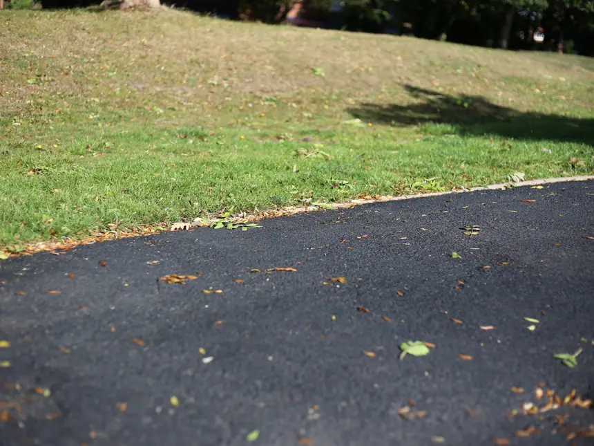 A tarmac driveway running out to the road